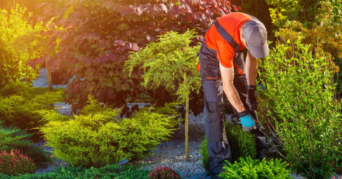 Professional Landscapers