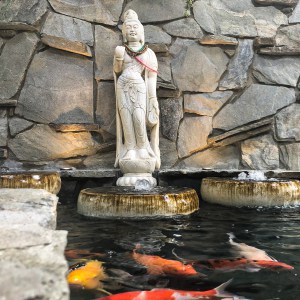 Koi pond service and construction orange county ca