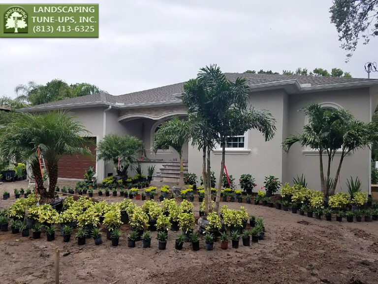 Landscaping New Construction Home Tampa 768x576