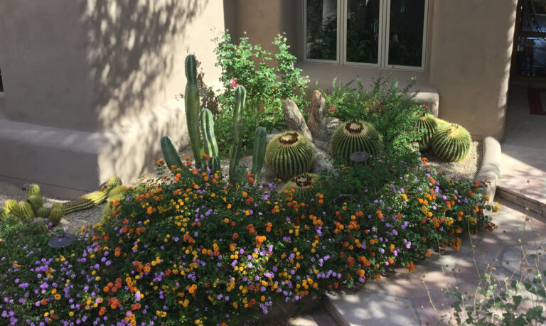 hawkeye landscaping img3 768x459