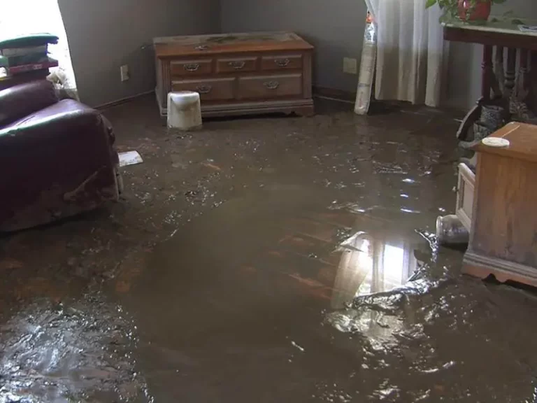 flood damage 768x576