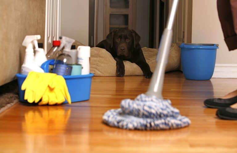 weekly maid service 1200x773 1 768x495