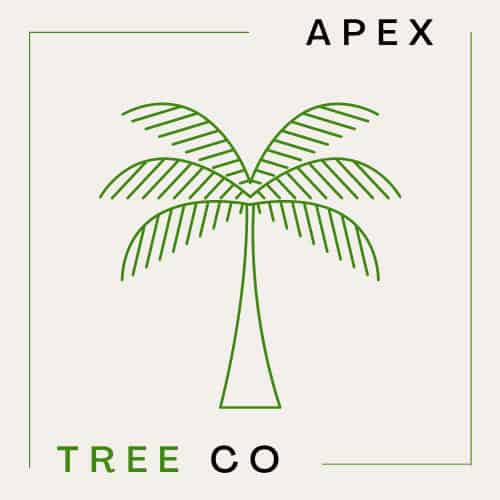 Apex Tree 1