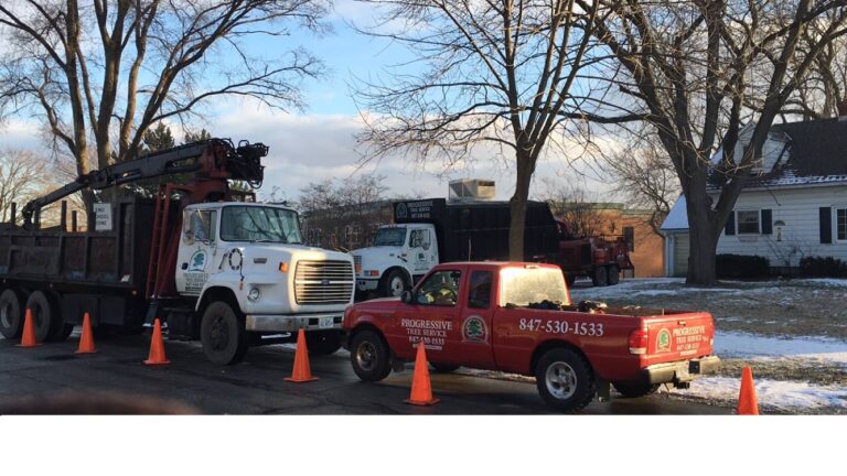 trucks parked 768x432