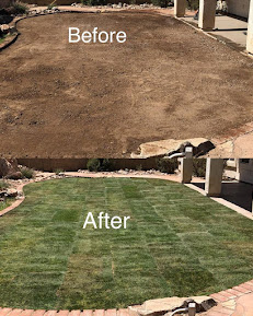 AMS Landscaping Pic2