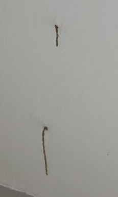 Budget Pic3
