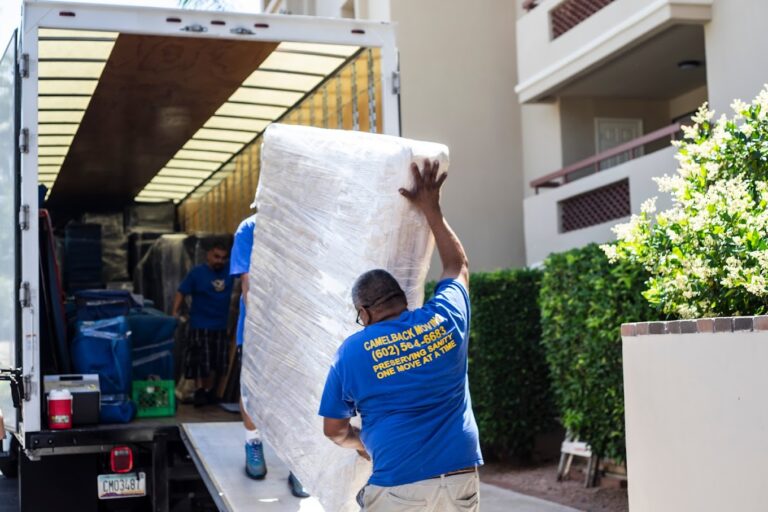 Camelback Moving Pic 768x512
