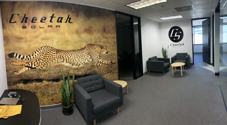 Cheetah Pic2 768x422