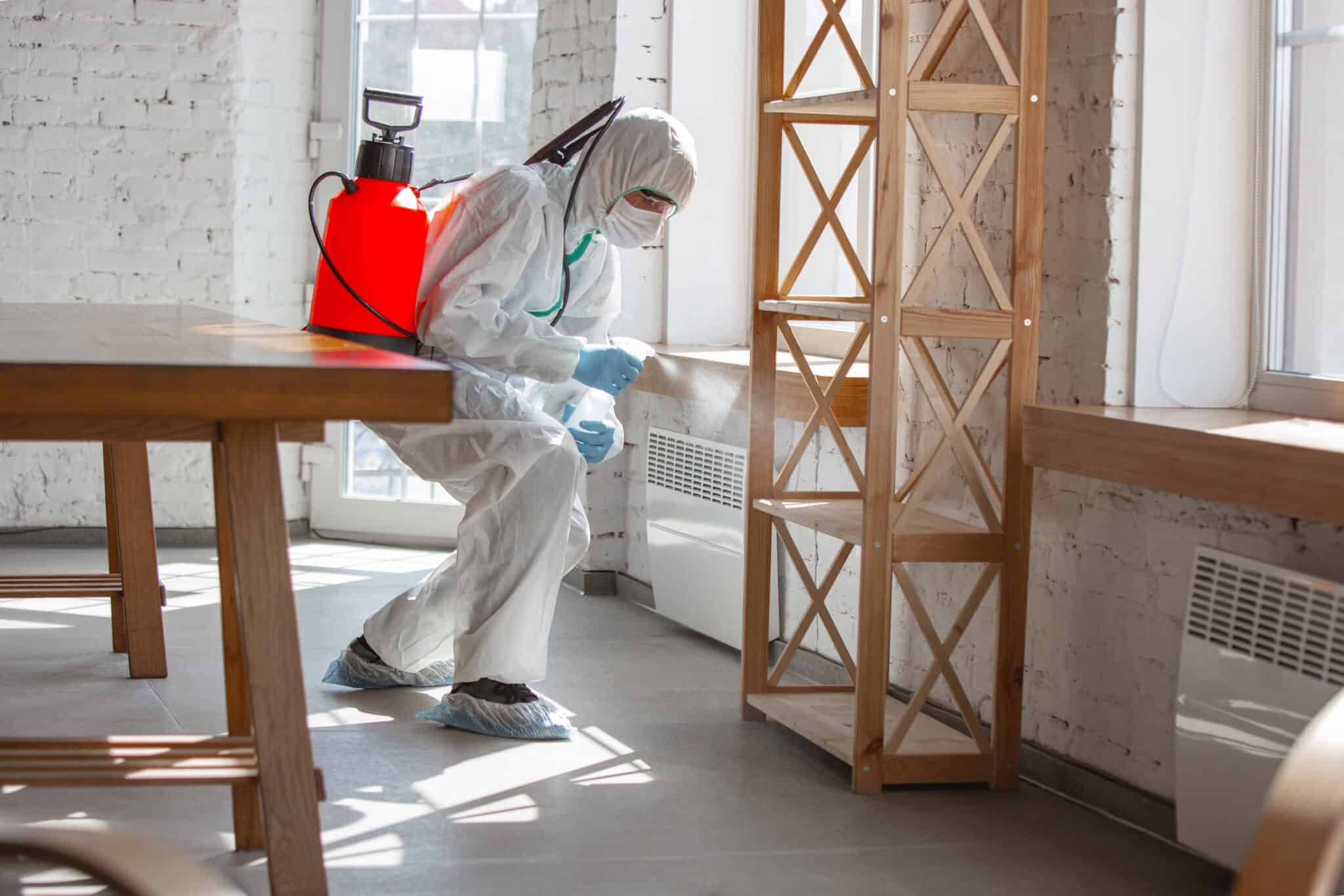 Pest Control technician cleaning house of common pests