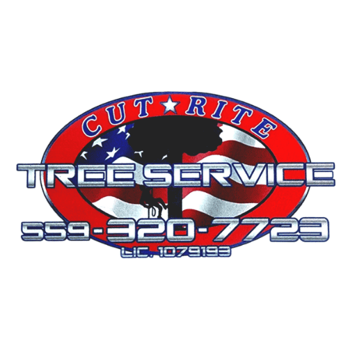 Cut Rite Tree Service Fresno 1