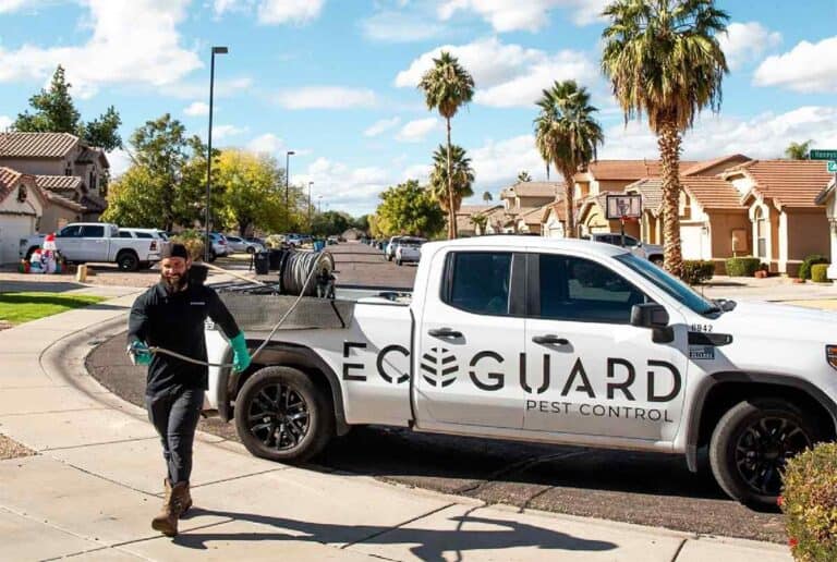 Ecoguard Pic 768x516