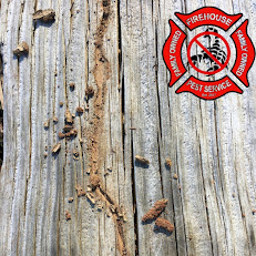 Firehouse Pic2