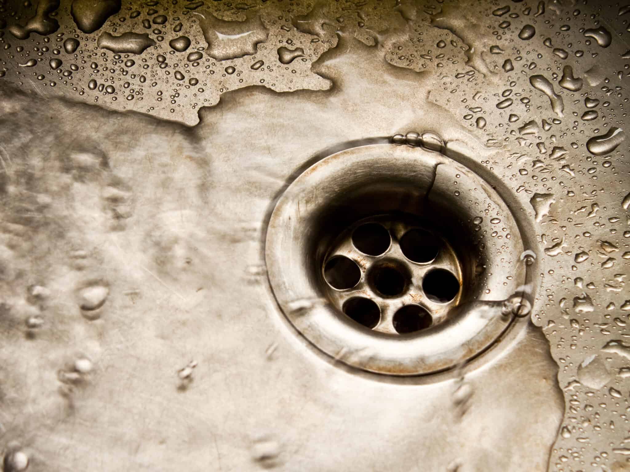 Drain in Sink