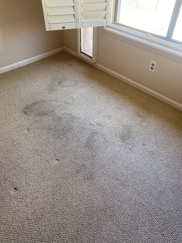 a spotless house carpet and tile cleaning chandler 3