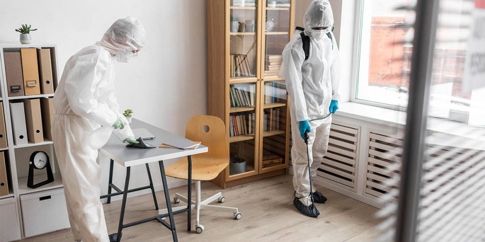 10 Best Pest Control Companies in Phoenix