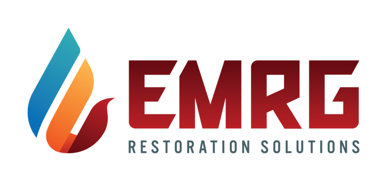 emrg 1 768x359