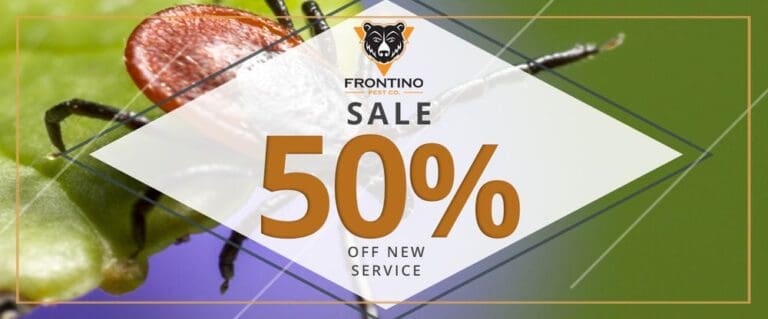 frontino pest control phoenix