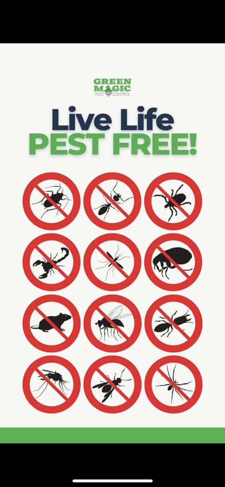 green magic pest control chandler
