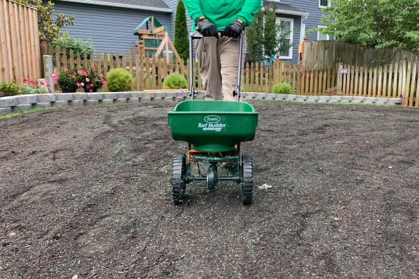 landscape companies near me