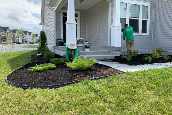 landscapers near me