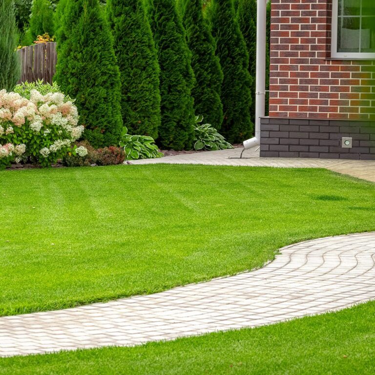 lawn grass near me 768x768
