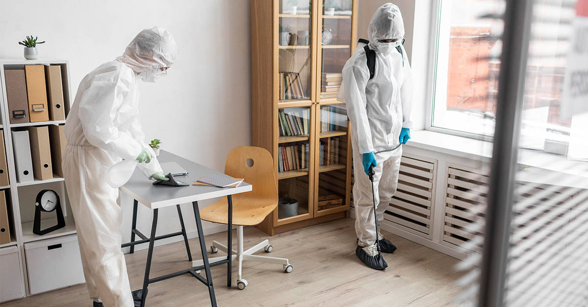 10 Best Pest Control Companies in Phoenix
