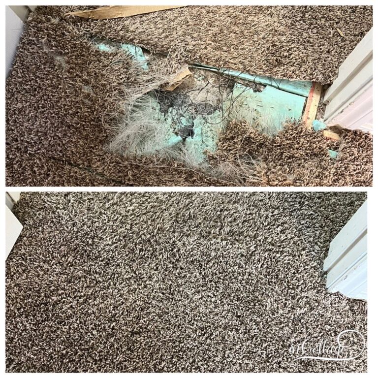 texas carpet repair plano 2