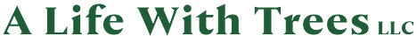 text logo