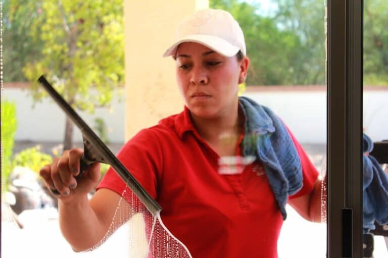 the perfectionist cleaning services phoenix
