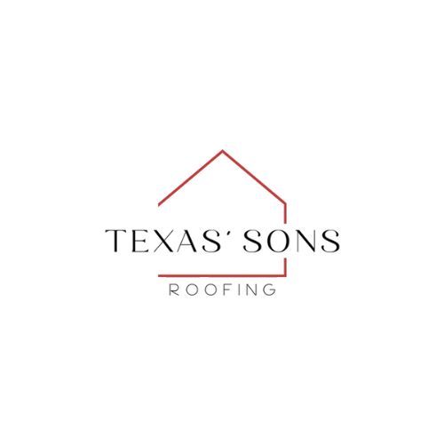 tx logo