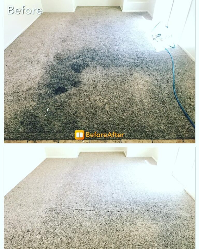 vickman family floor care mesa 2
